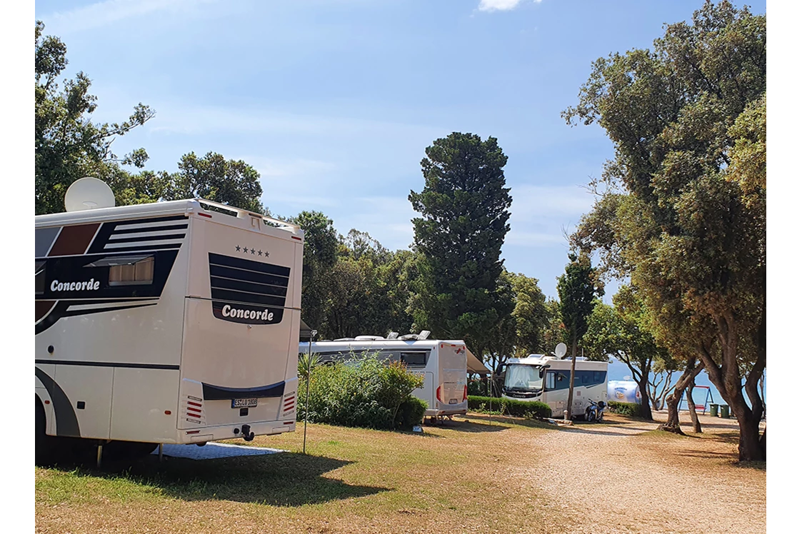 Wohnmobilstellplatz: Campingplatz Straško****