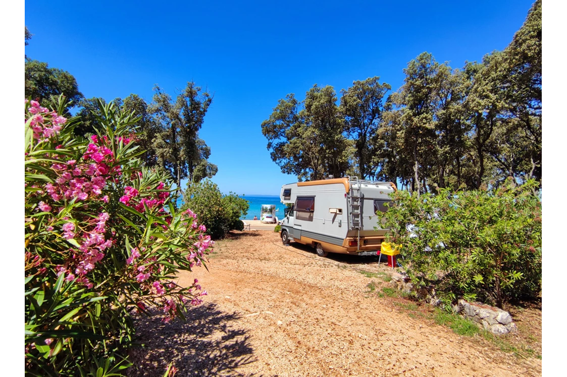 Wohnmobilstellplatz: Campingplatz Straško****