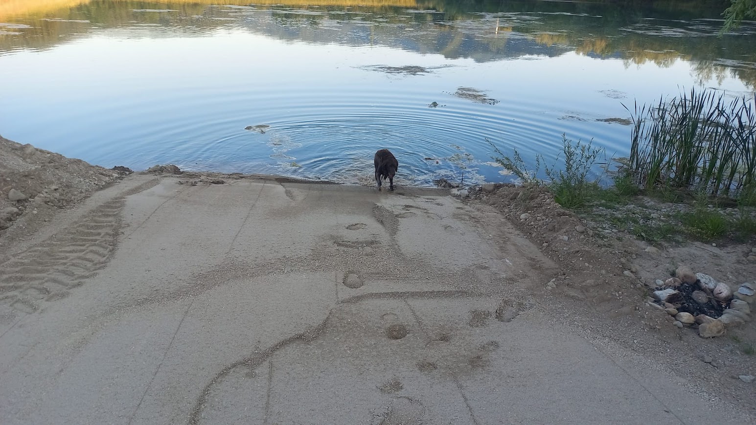 Reisemobilstellplatz - Reiten - Kindberg - Schotterteich am Lammerhof