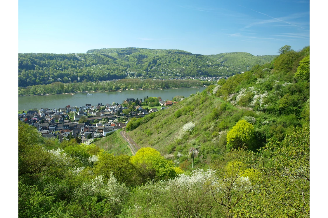 Wohnmobilstellplatz: Blick von oben ins Rheintal - Stellplatz im Wildgehege oberhalb des Rheintals