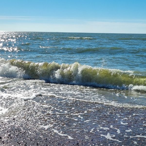 Wohnmobilstellplatz: Baltic sea - less than 500 m away from the campsite. - Campsite 37A