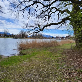 Wohnmobilstellplatz: Badeplatz an der Alz,
hier kann man mit dem
Hund gemeinsam Baden gehen - am Chiemsee mit Alzblick