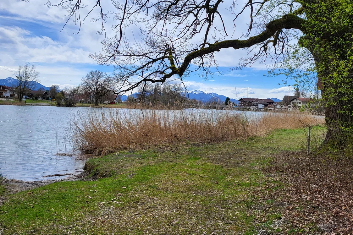 Wohnmobilstellplatz: Badeplatz an der Alz,
hier kann man mit dem
Hund gemeinsam Baden gehen - am Chiemsee mit Alzblick