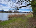 Wohnmobilstellplatz: Badeplatz an der Alz,
hier kann man mit dem
Hund gemeinsam Baden gehen - am Chiemsee mit Alzblick