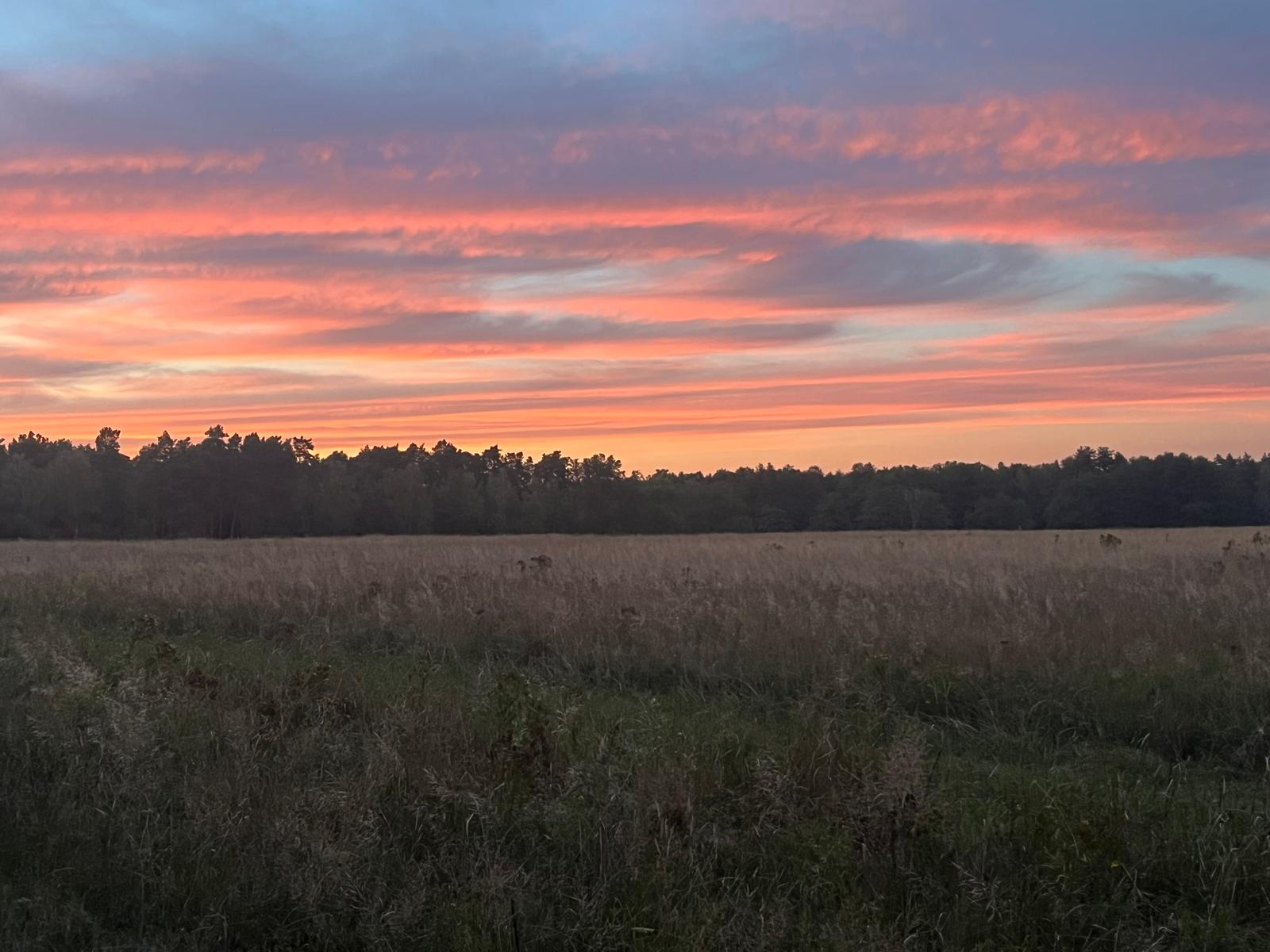 Wohnmobilstellplatz: Sonnenuntergang über den Feldern - Ruhiger Platz im Naturpark Fläming & Kultur Nähe