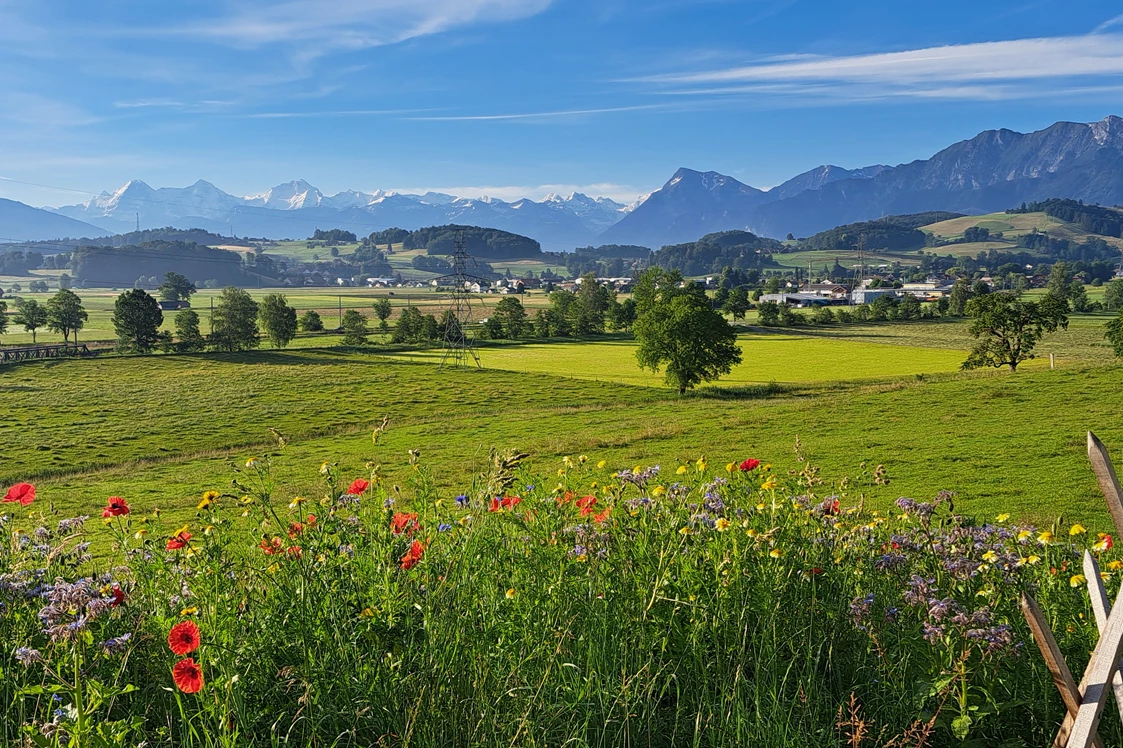 Wohnmobilstellplatz: Bauernhof Krummacker