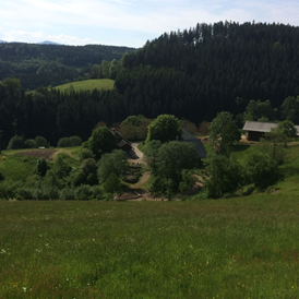 Wohnmobilstellplatz: Camping auf dem Bauernhof im Schwarzwald