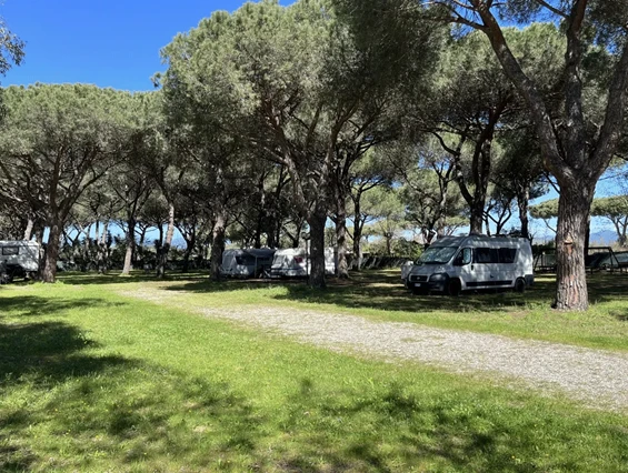 Reisemobilstellplatz