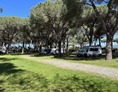 Wohnmobilstellplatz: Schattige Stellplätze - La Pampa Parking Area & Camp