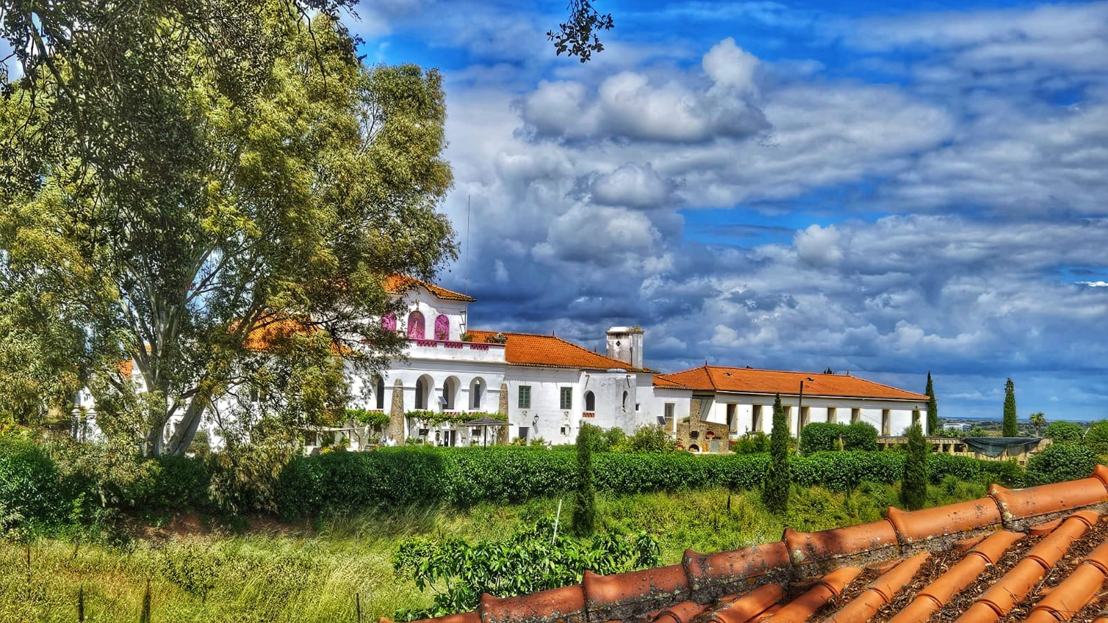 Wohnmobilstellplatz: HFR - Weinerlebnisse / Herdade Foz da Represa