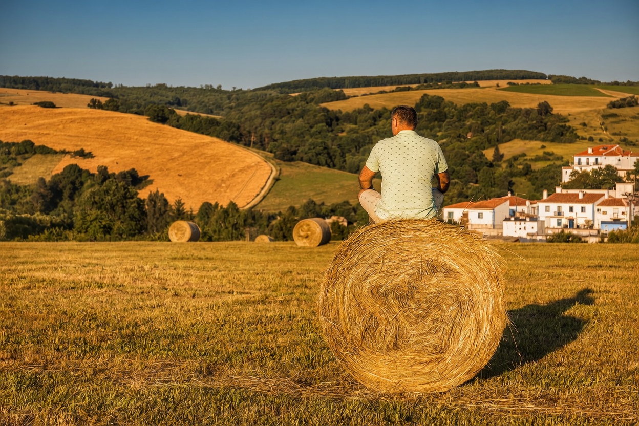 Reisemobilstellplatz: HFR - Weinerlebnisse / Herdade Foz da Represa