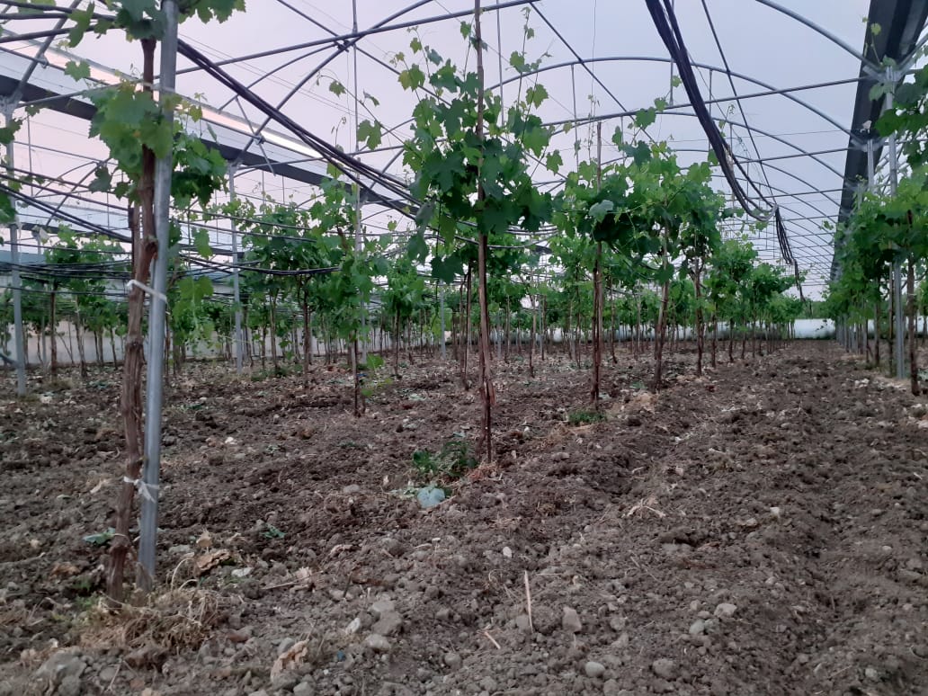 Wohnmobilstellplatz: Agro Camping Harmony