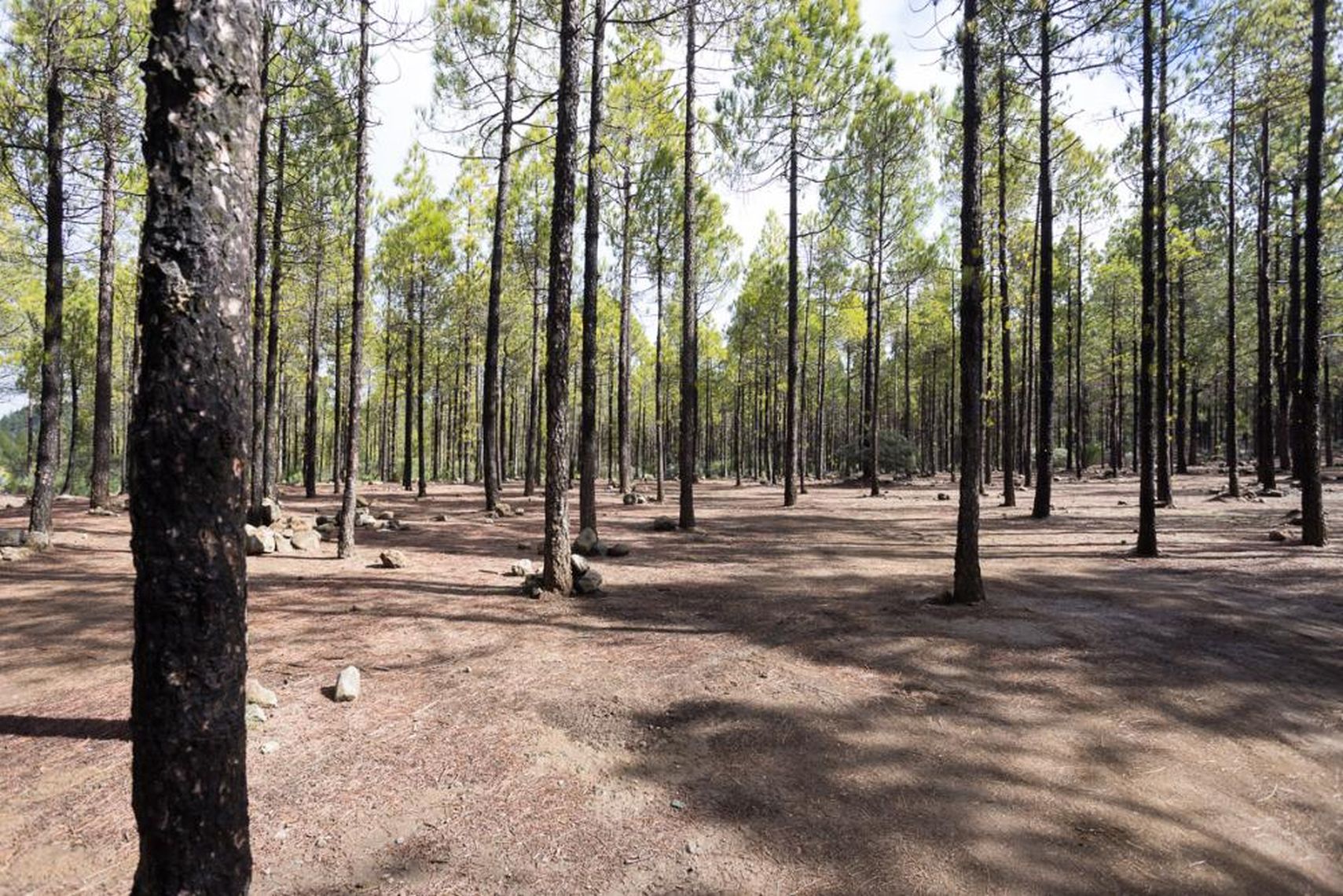 Wohnmobilstellplatz: Camping Bailico [TEJEDA]