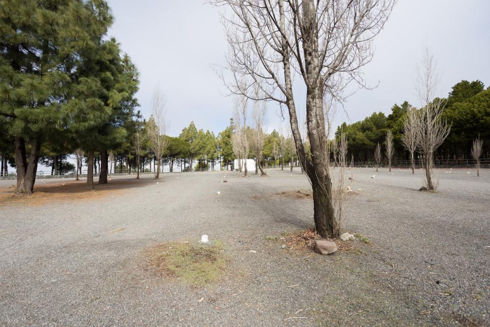 Wohnmobilstellplatz: Camping Corral de los Juncos [TEJEDA]