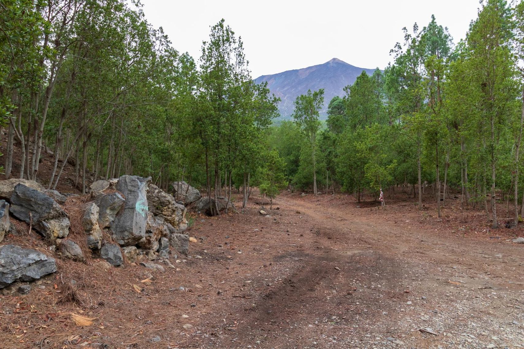 Reisemobilstellplatz: Camping El Lagar