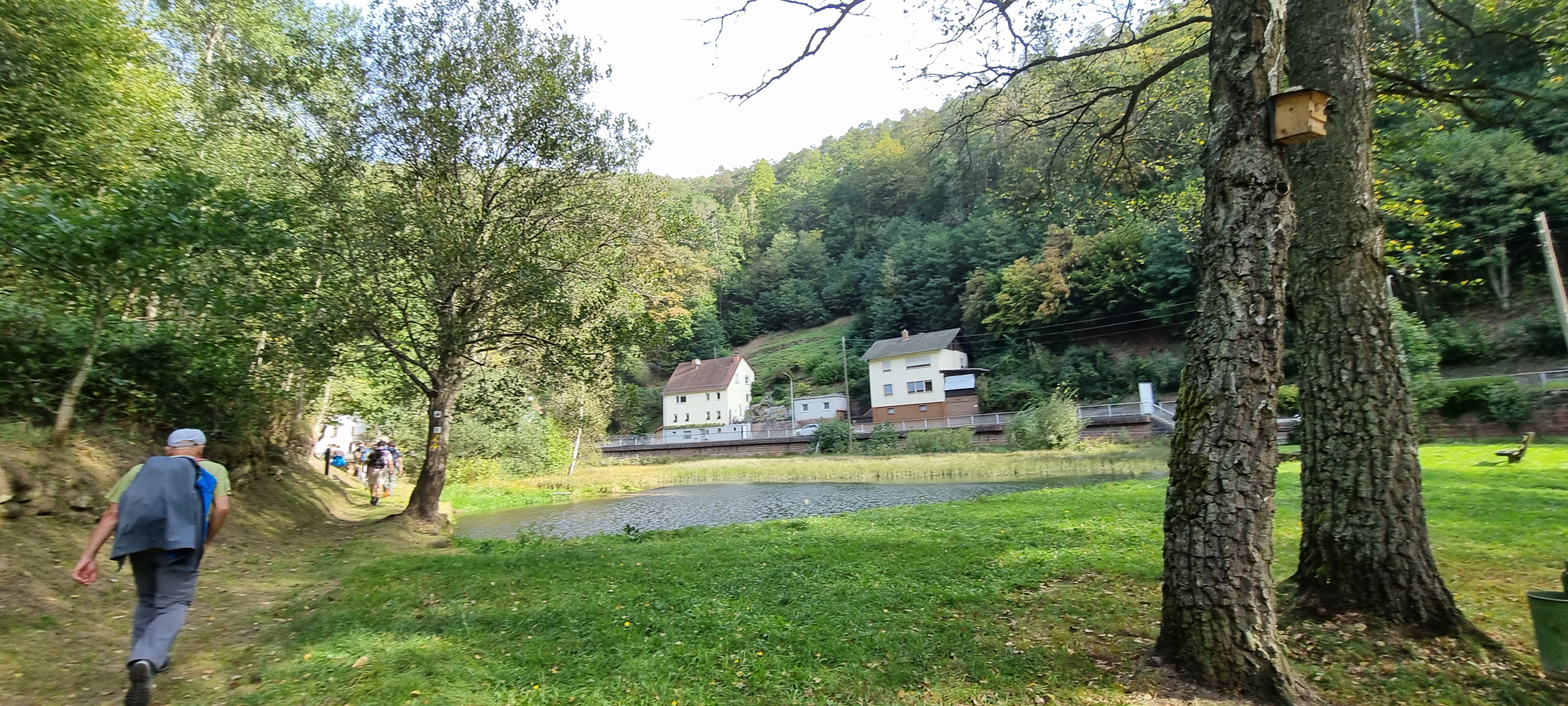 Wohnmobilstellplatz: Grünanlage am Möllbachweiher - Wohnmobilstellplatz Elmstein - Freizeit, Umgebung