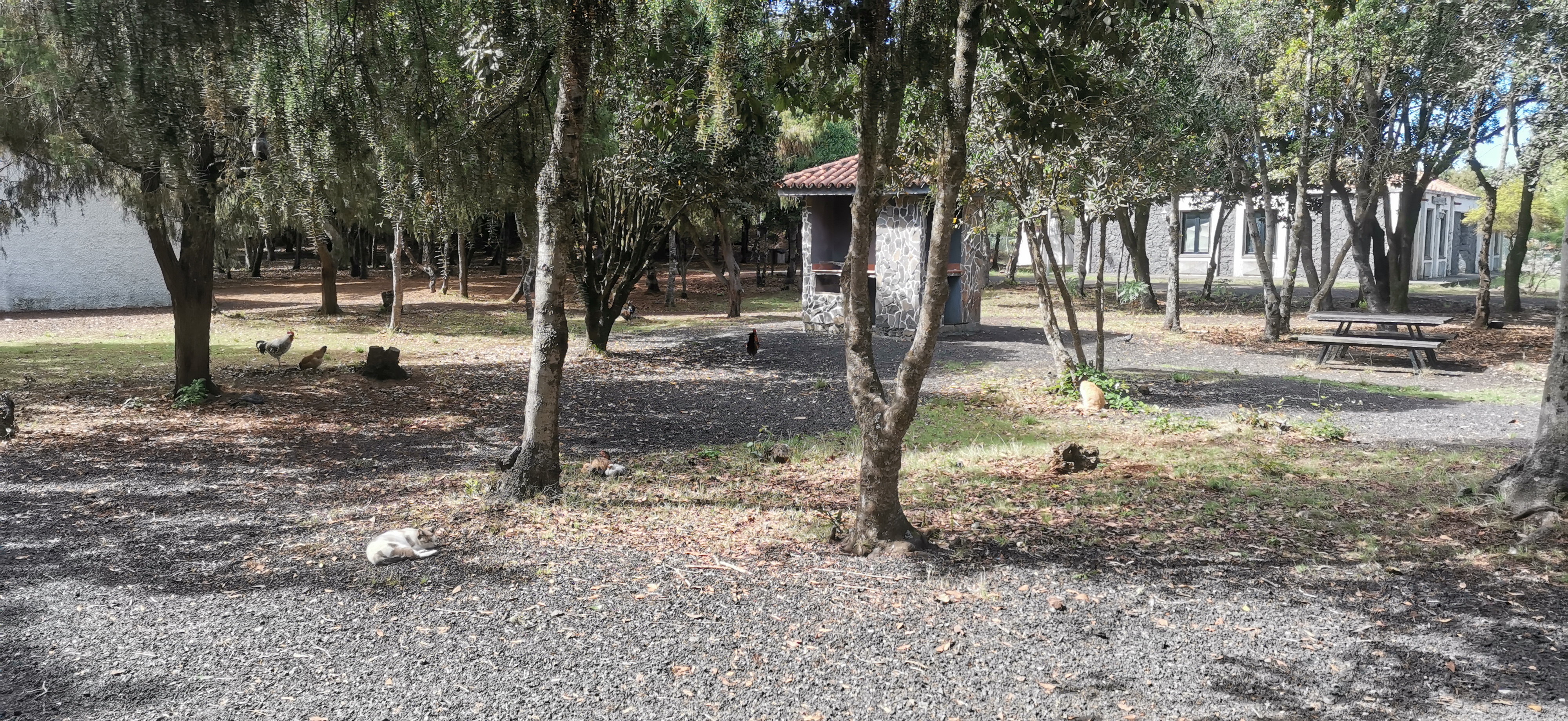 Reisemobilstellplatz: Camping La Laguna de Barlovento