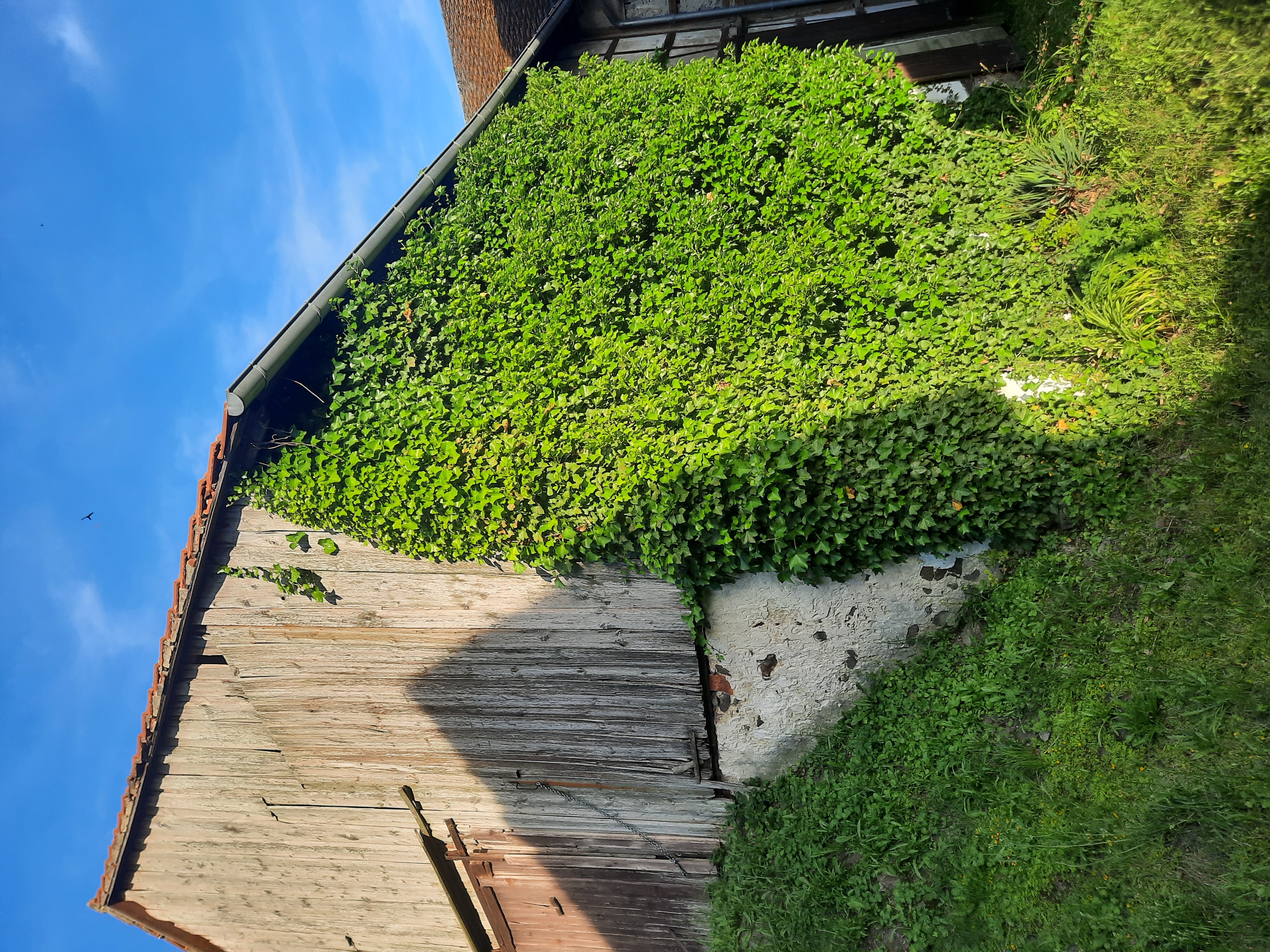 Wohnmobilstellplatz: "Weitblick" im Land der tausend Teiche - Vecindad