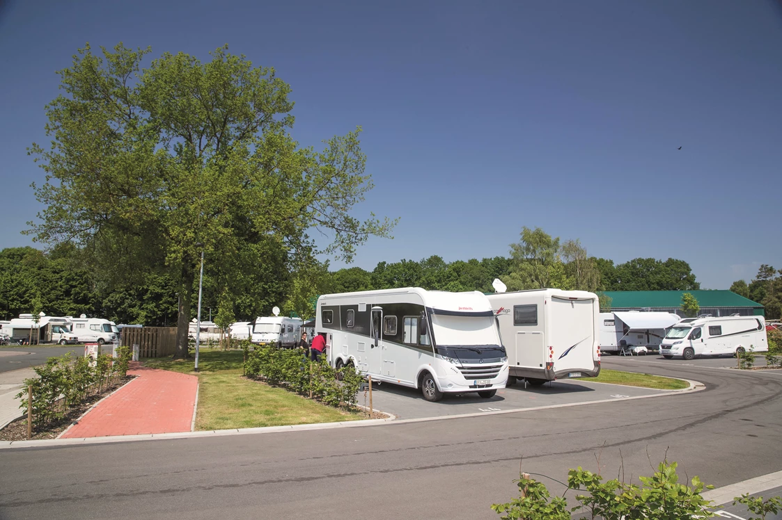 Wohnmobilstellplatz: Stellplatzbereich - Wohnmobilstellplatz am Badepark