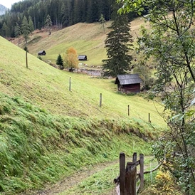 Wohnmobilstellplatz: Spazierweg zum Laussnitz Bach / Badestelle für Hunde - Sonnige Wiese am Bergbauernhof mit Aussicht 