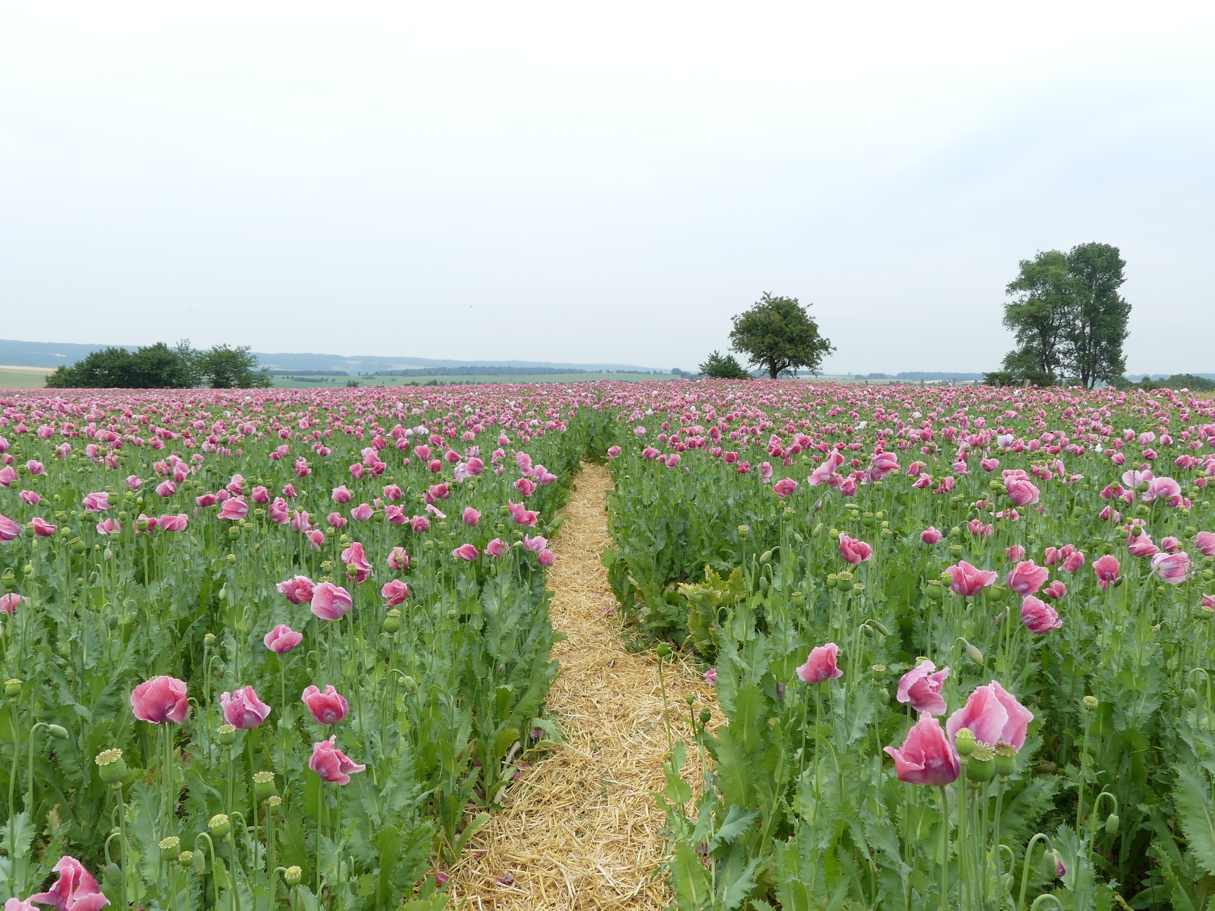 Wohnmobilstellplatz: Wohnmobilstellplatz Grandenborn
