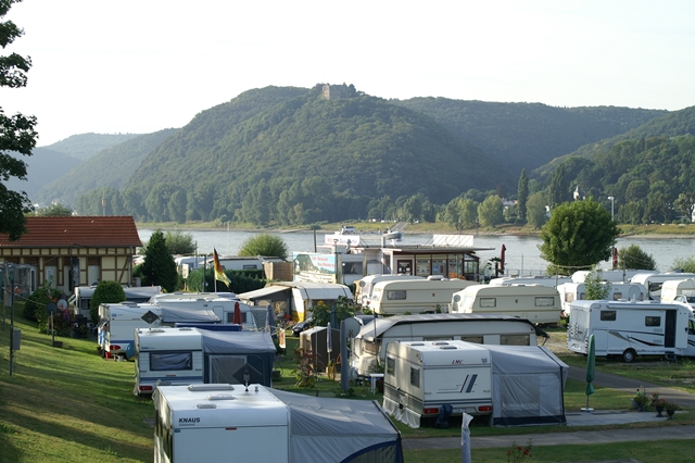 área camper - Vallendar - Blick auf Burg Rheineck - Wellness-Rheinpark-Camping Bad Hönningen