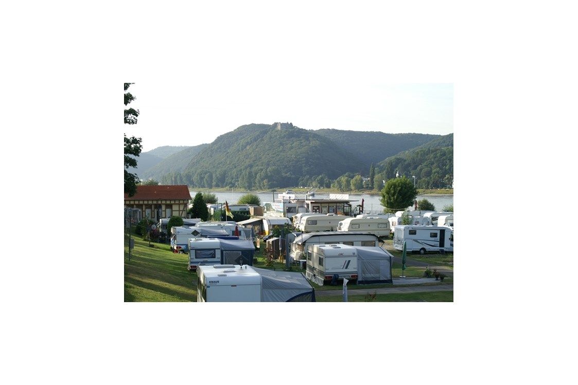 Wohnmobilstellplatz: Blick auf Burg Rheineck - Wellness-Rheinpark-Camping Bad Hönningen
