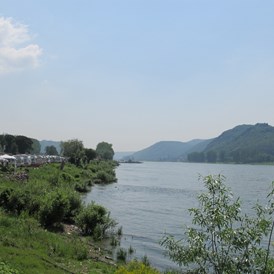 Wohnmobilstellplatz: Rheinpanorama - Wellness-Rheinpark-Camping Bad Hönningen