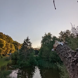 Wohnmobilstellplatz: Blick auf unseren Teich - Gästehaus Stein