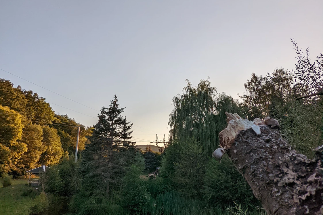 Wohnmobilstellplatz: Blick auf unseren Teich - Gästehaus Stein