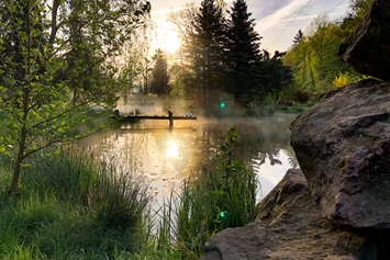 Wohnmobilstellplatz: Blick auf den Teich am Morgen - Gästehaus Stein