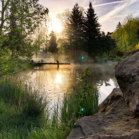 Wohnmobilstellplatz: Blick auf den Teich am Morgen - Gästehaus Stein