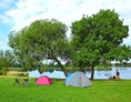 Wohnmobilstellplatz: Zeltwiese am Strand - Camping Am Kluger See