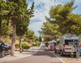 Wohnmobilstellplatz: Campingplatz Amadria Park Trogir****