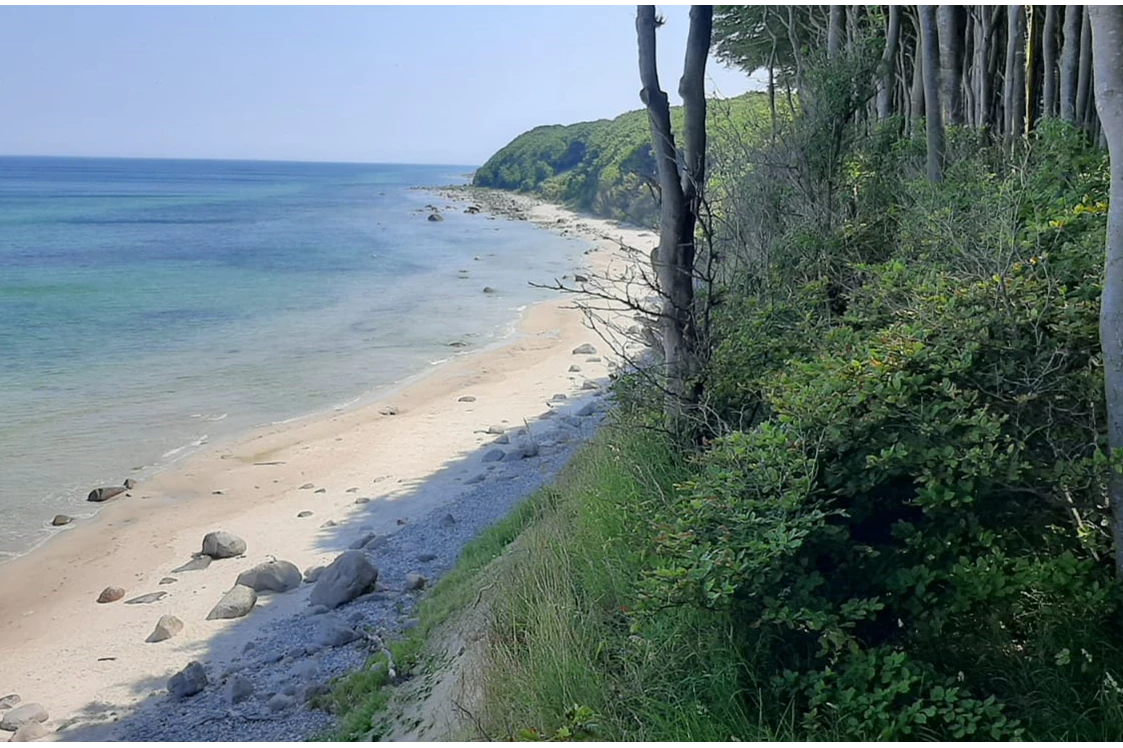 Wohnmobilstellplatz: Strand vom Märchenwald aus zu sehen - Luigis Campingplatz Nonnevitz 