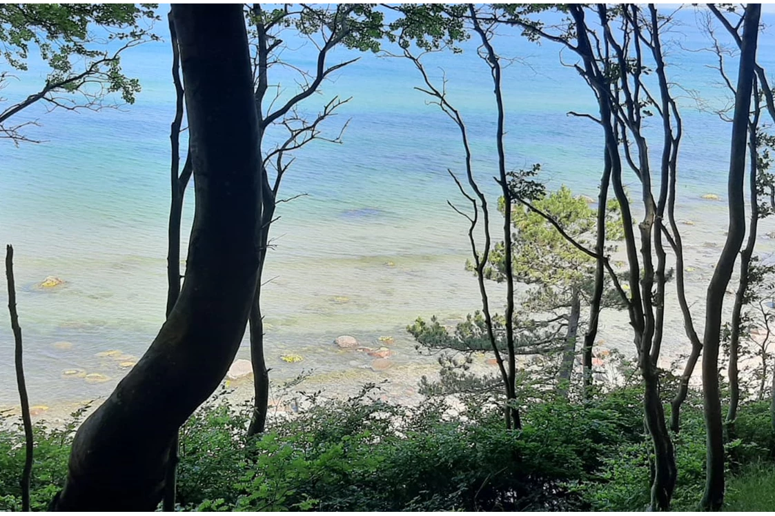 Wohnmobilstellplatz: Strand  - Luigis Campingplatz Nonnevitz 