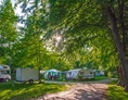 Wohnmobilstellplatz: Stellplätze in der Sonne, im Schatten oder im Halbschatten. - Ferien- und Campingpark Geesthof