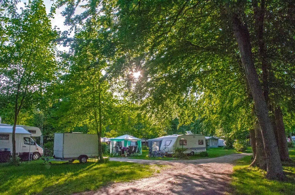 Wohnmobilstellplatz: Stellplätze in der Sonne, im Schatten oder im Halbschatten. - Ferien- und Campingpark Geesthof
