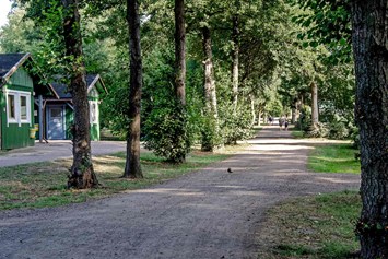 Wohnmobilstellplatz: Zwei Sanitärgebäude sind auf dem Gelände des Geesthofes auch zu finden.  - Ferien- und Campingpark Geesthof