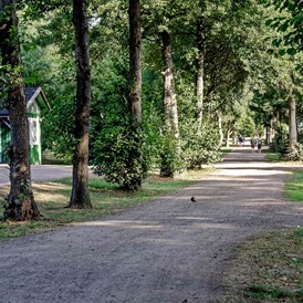 Wohnmobilstellplatz: Zwei Sanitärgebäude sind auf dem Gelände des Geesthofes auch zu finden.  - Ferien- und Campingpark Geesthof