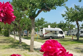 Wohnmobilstellplatz: Camping Adria Riccione - Camping Adria Riccione