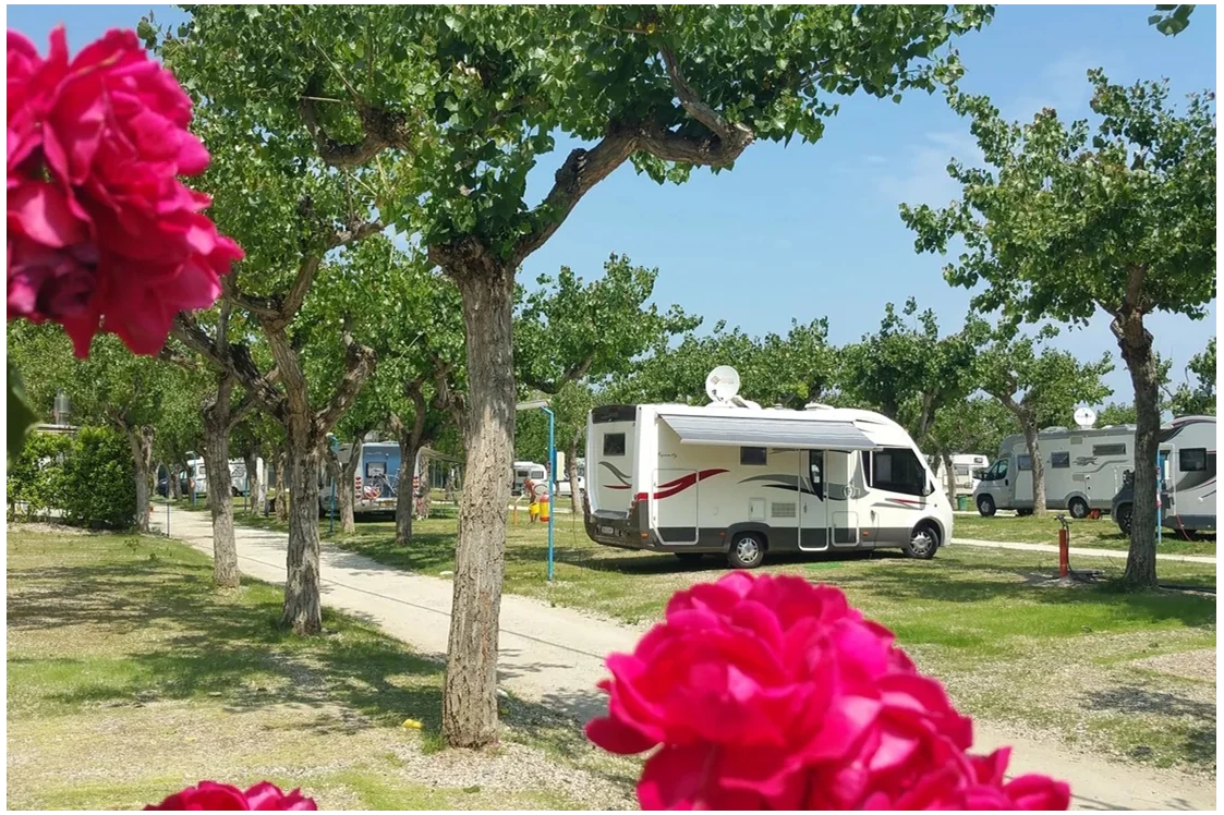 Wohnmobilstellplatz: Camping Adria Riccione - Camping Adria Riccione