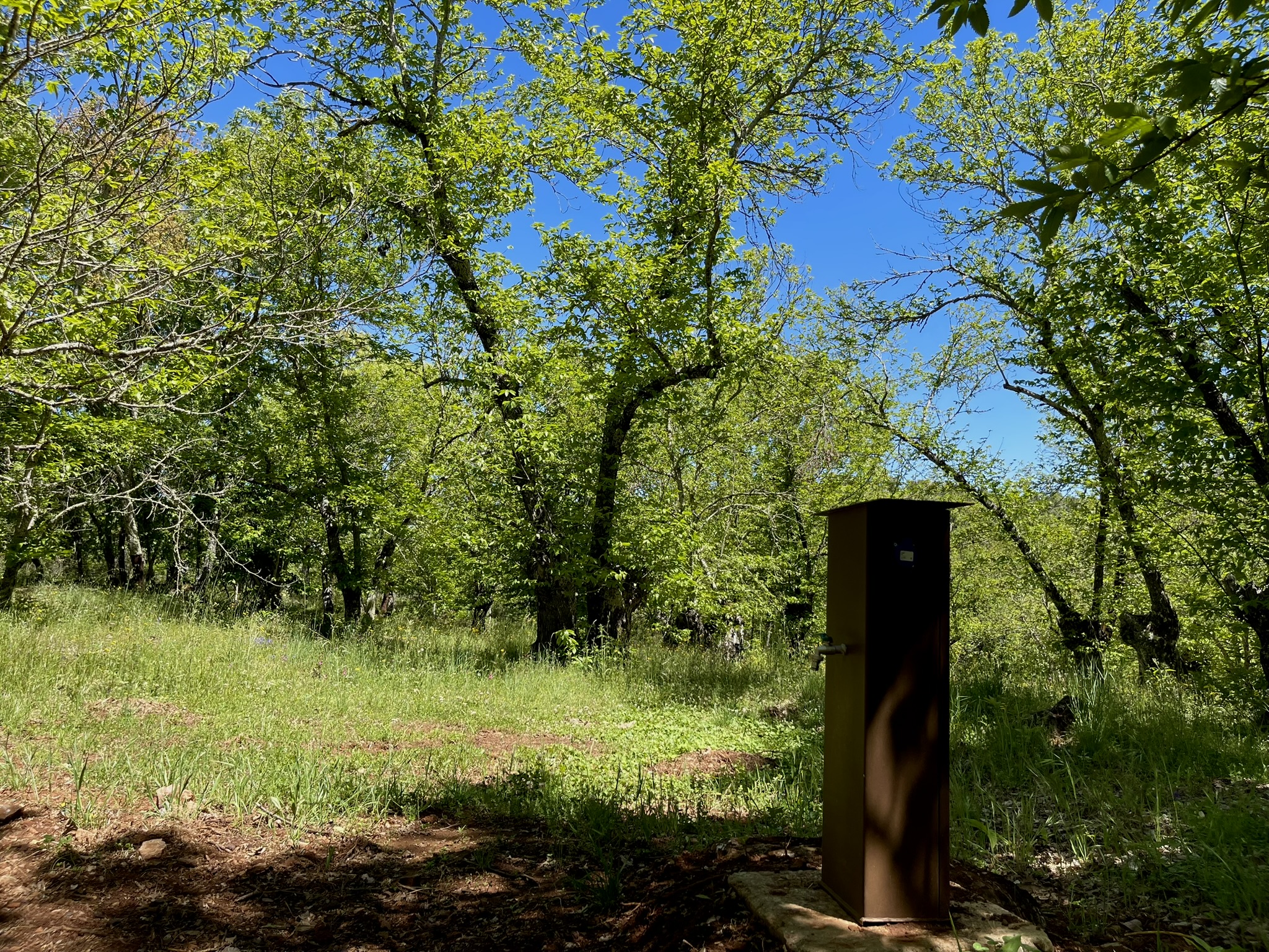 Wohnmobilstellplatz: Punto de electricidad y agua potable - Camping el Madroñal