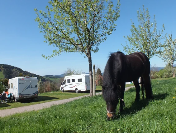 Reisemobilstellplatz