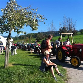 Wohnmobilstellplatz: Oldtimer-Traktoren treffen sich bei uns um den Viehabtrieb zu eröffnen. - Stellplatz Kirnermarteshof