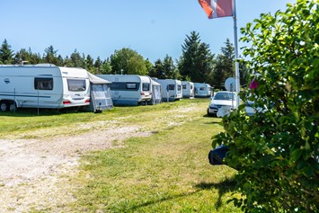 Wohnmobilstellplatz: Stjerne Camping