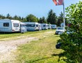 Wohnmobilstellplatz: Stjerne Camping