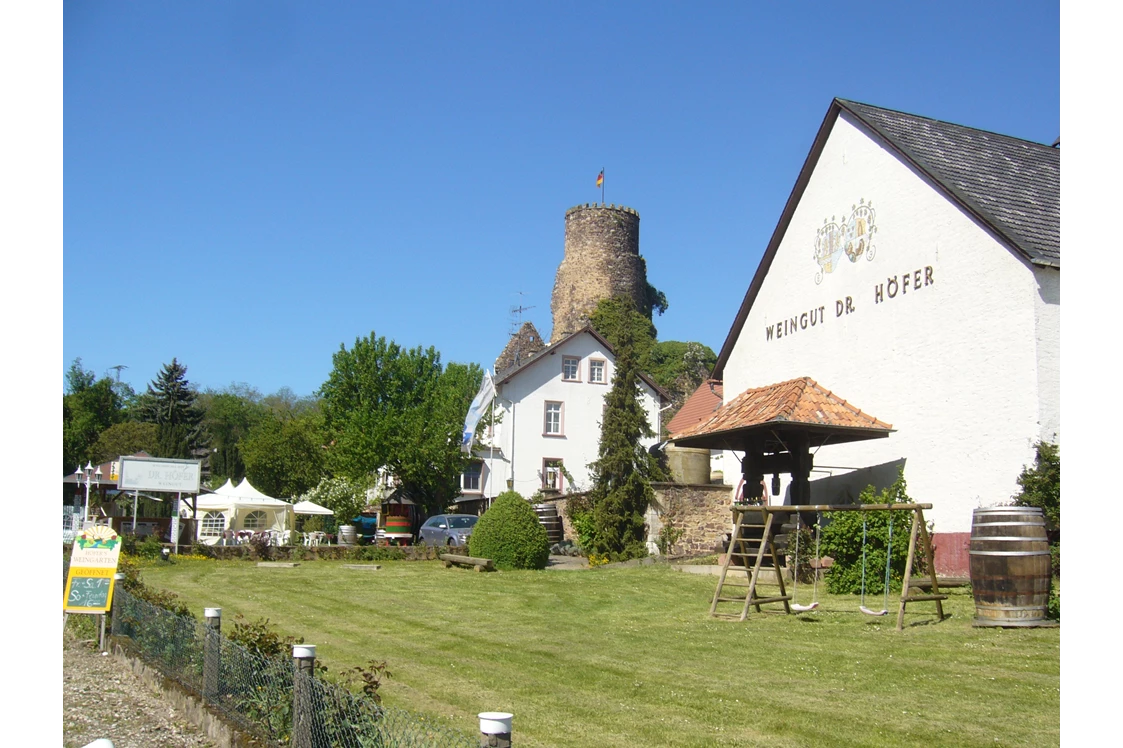 Wohnmobilstellplatz: Einfahrt zum Weingut Schlossmühle Dr. Höfer - Stellplatz mit Burgblick auf die Burg Layen