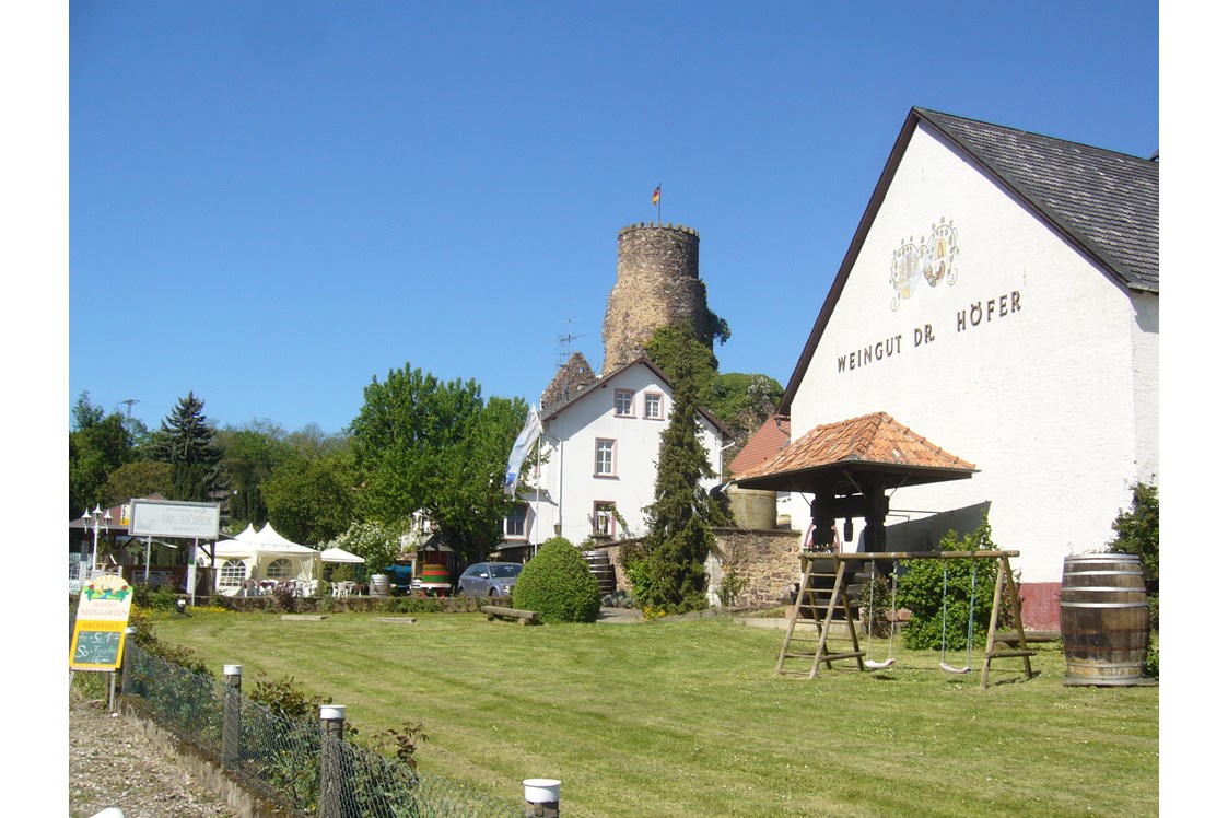 Wohnmobilstellplatz: Einfahrt zum Weingut Schlossmühle Dr. Höfer - Stellplatz mit Burgblick auf die Burg Layen