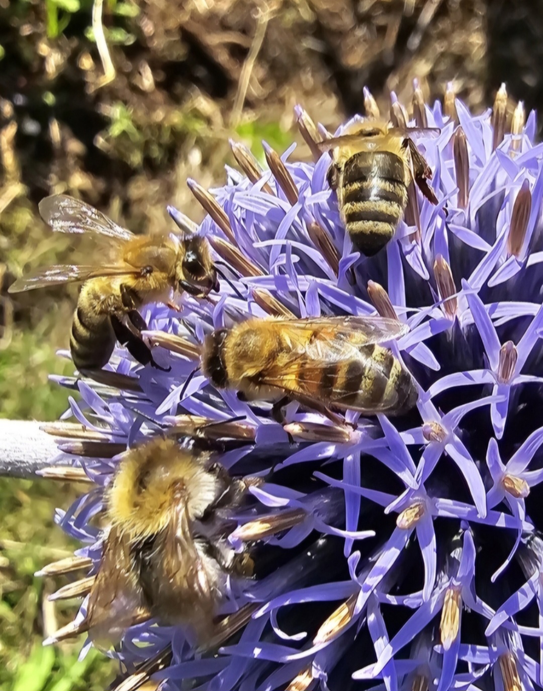 Reisemobilstellplatz - Wohnwagen erlaubt - Ammersbek - Natur am Teich - Kleine Arche Wahlstedt